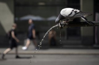 Une alerte canicule de degré 3 est en vigueur sur tout le canton jusqu'au 17 août.